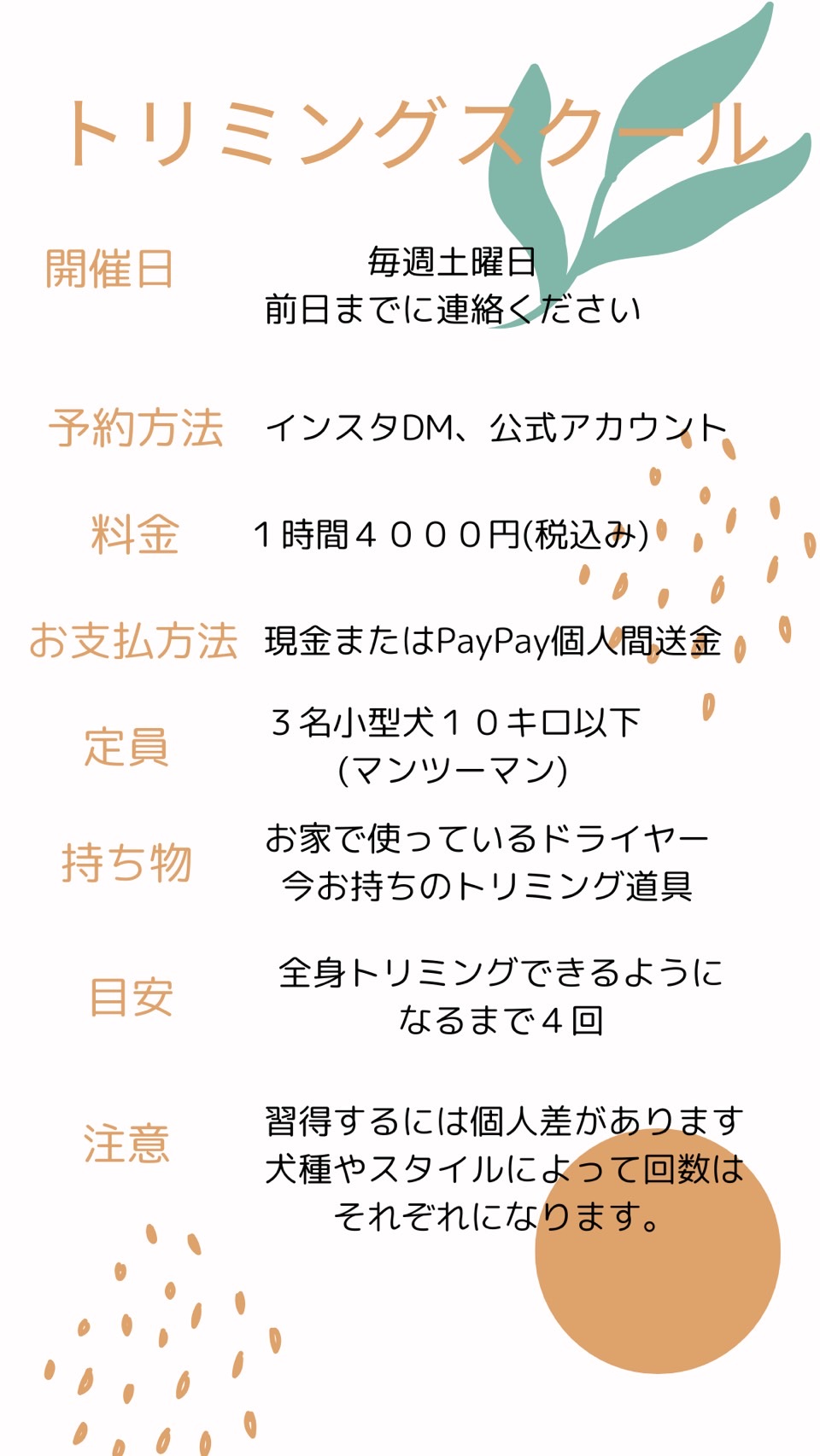 2025年4月よりトリミングスクール始めます！