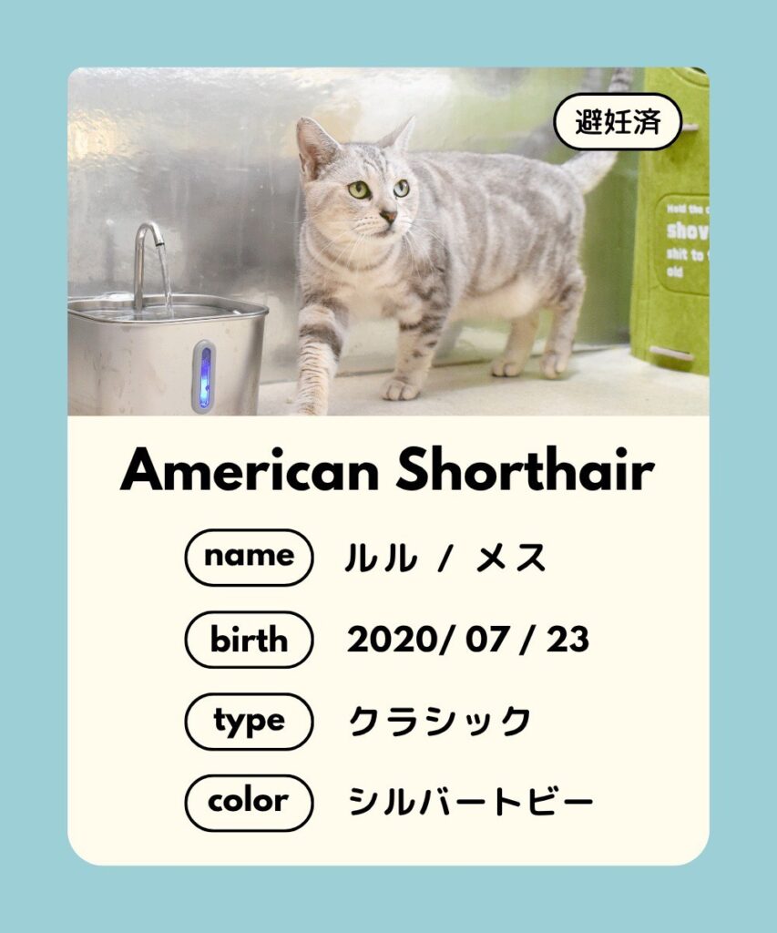 里親募集