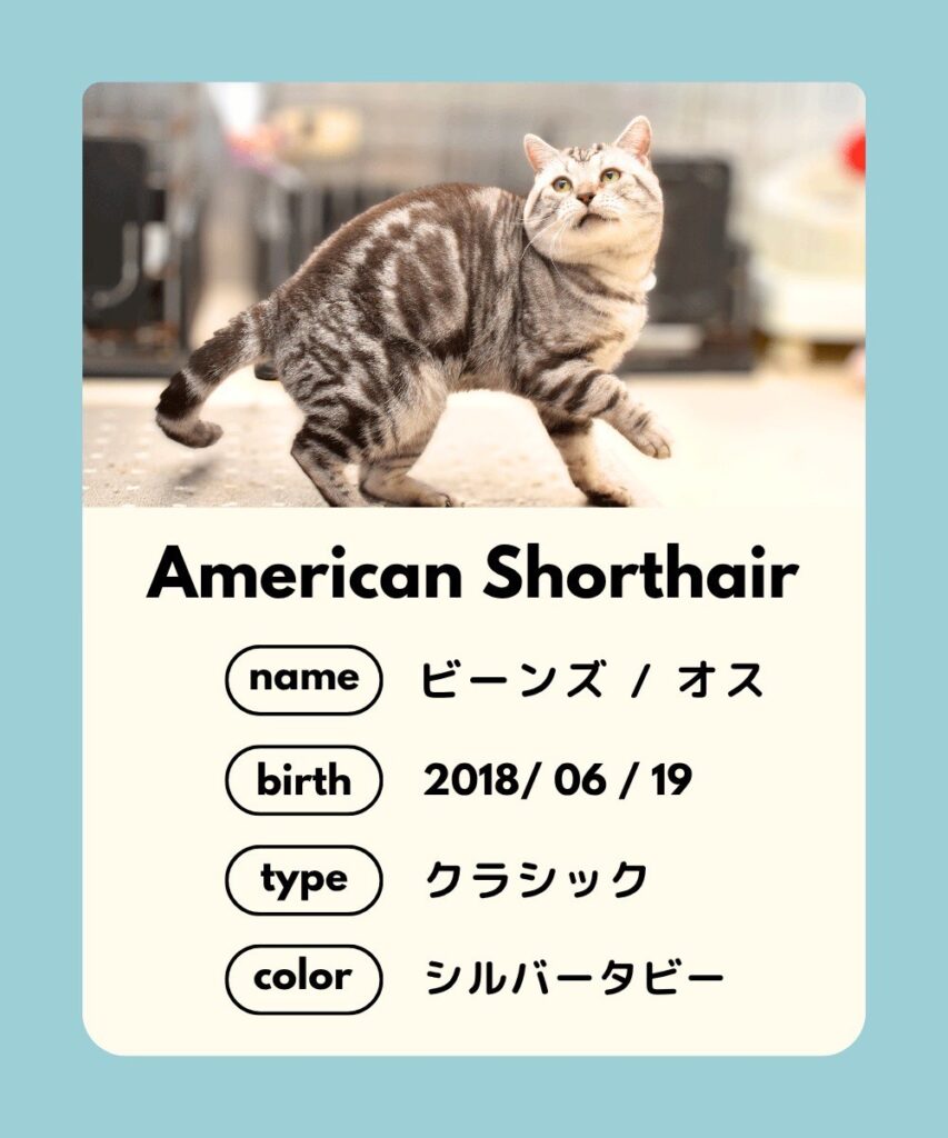 里親募集