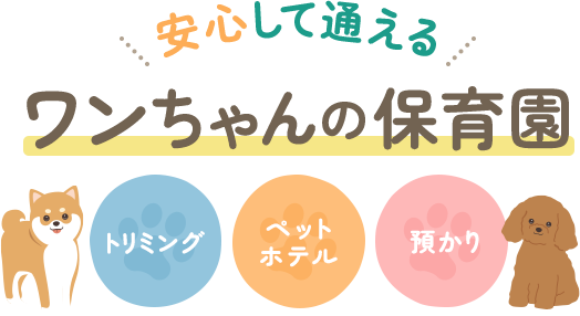 安心して通えるワンちゃんの保育園 トリミング ペットホテル 預かり