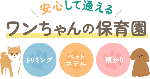 安心して通えるワンちゃんの保育園 トリミング ペットホテル 預かり